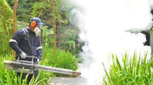 Best Residential Pest Control  in Bon Aqua Junction, TN